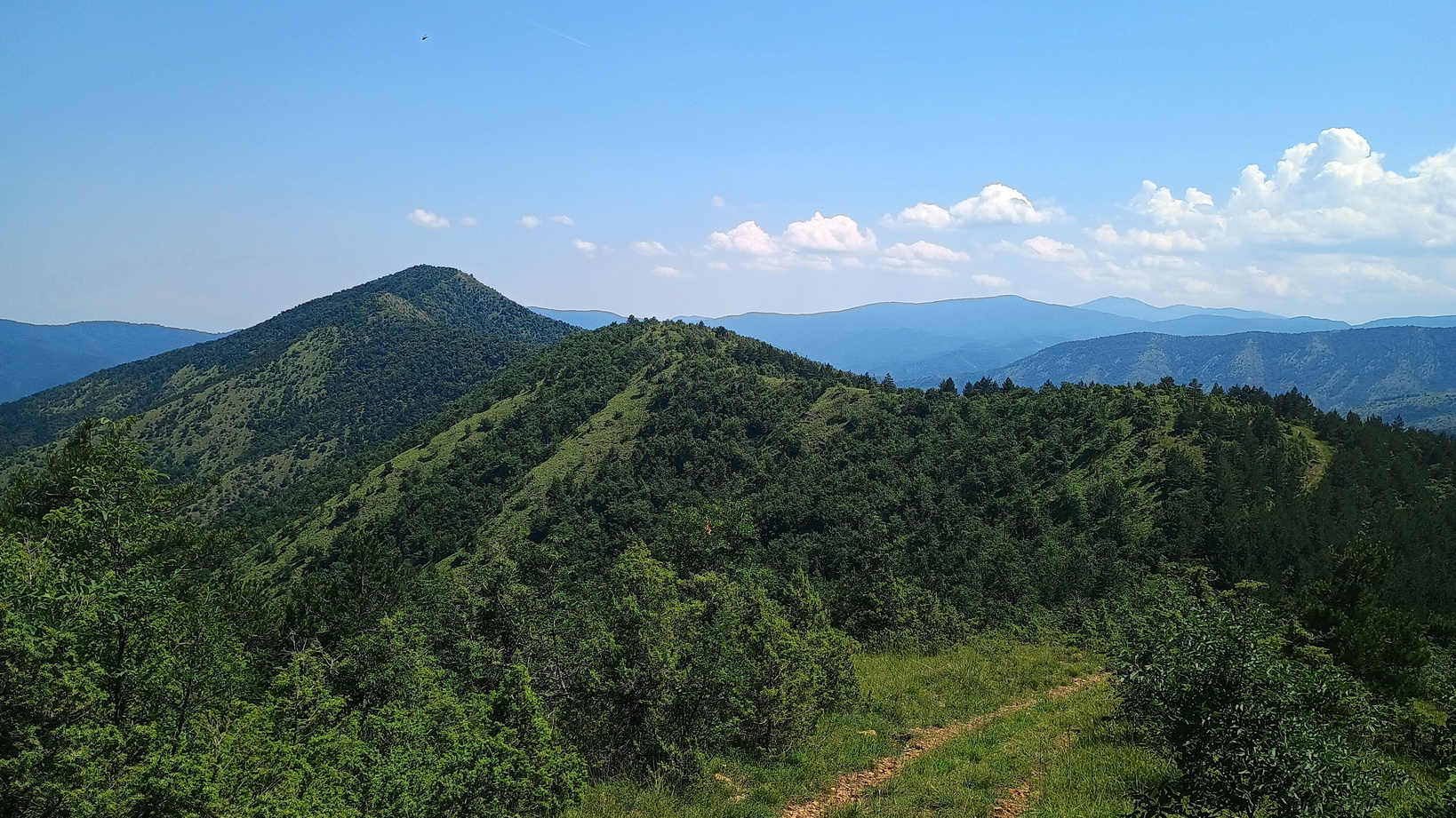 slika